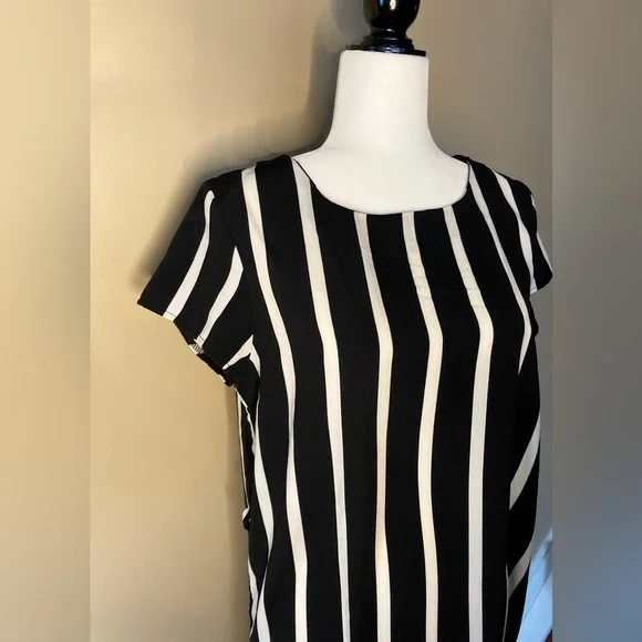 Tunic Blouse - Picture 4 of 5